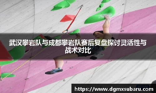 武汉攀岩队与成都攀岩队赛后复盘探讨灵活性与战术对比
