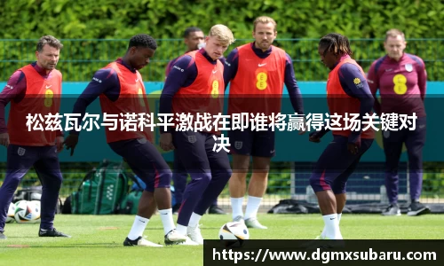 松兹瓦尔与诺科平激战在即谁将赢得这场关键对决
