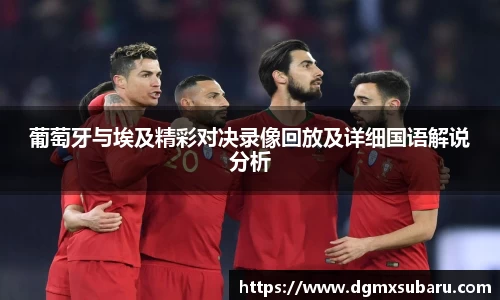 葡萄牙与埃及精彩对决录像回放及详细国语解说分析